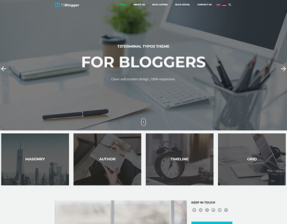 T3 Blogger