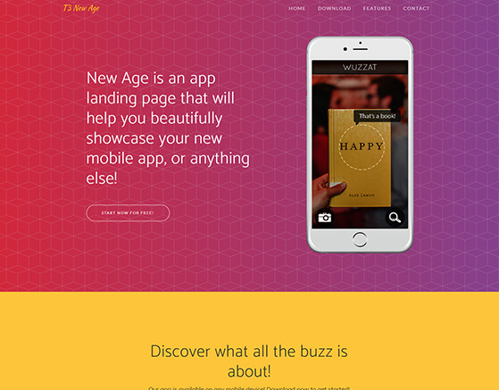 T3 New Age