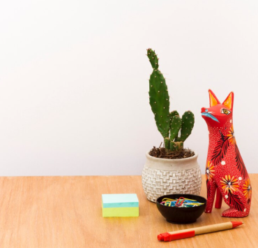 Demo Image Demo Image